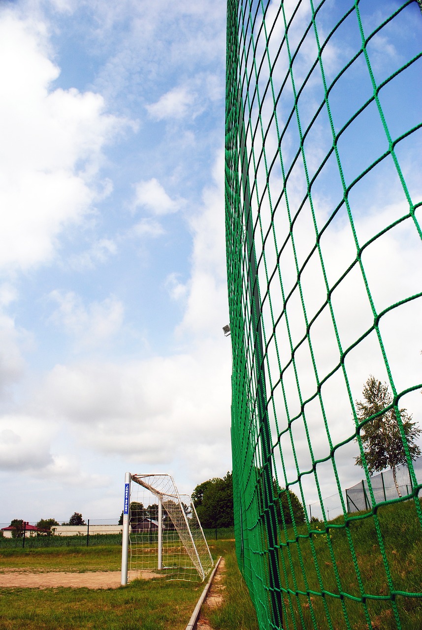 场激动人心 场激动人心