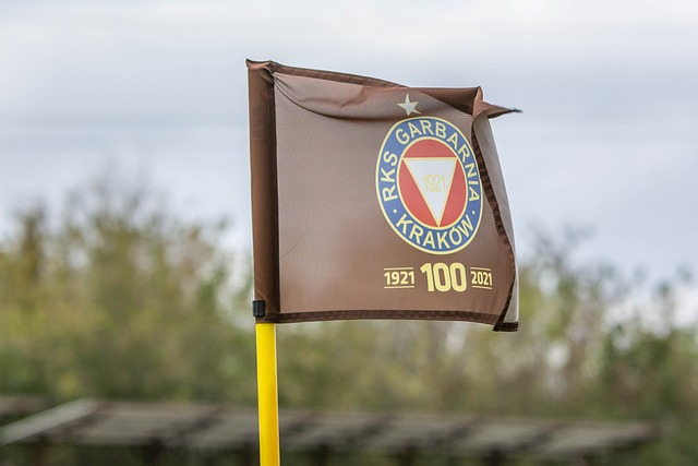 这一壮举让 这一壮举让