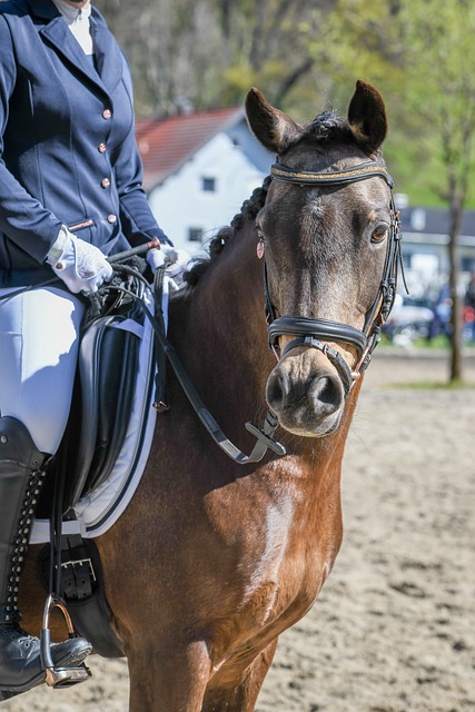 板凳深度 板凳深度