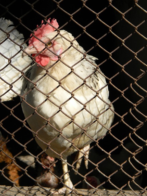 我们不难窥 我们不难窥