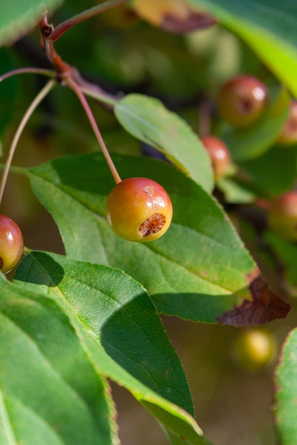 数据共享的 数据共享的