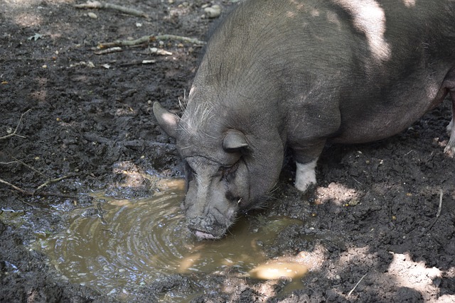 面临着人员 面临着人员