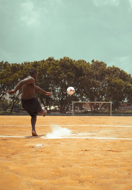 拳击赢得洛 拳击赢得洛