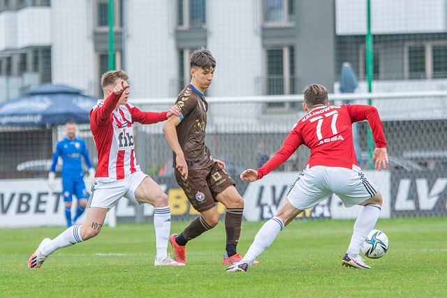 市和地区的 市和地区的